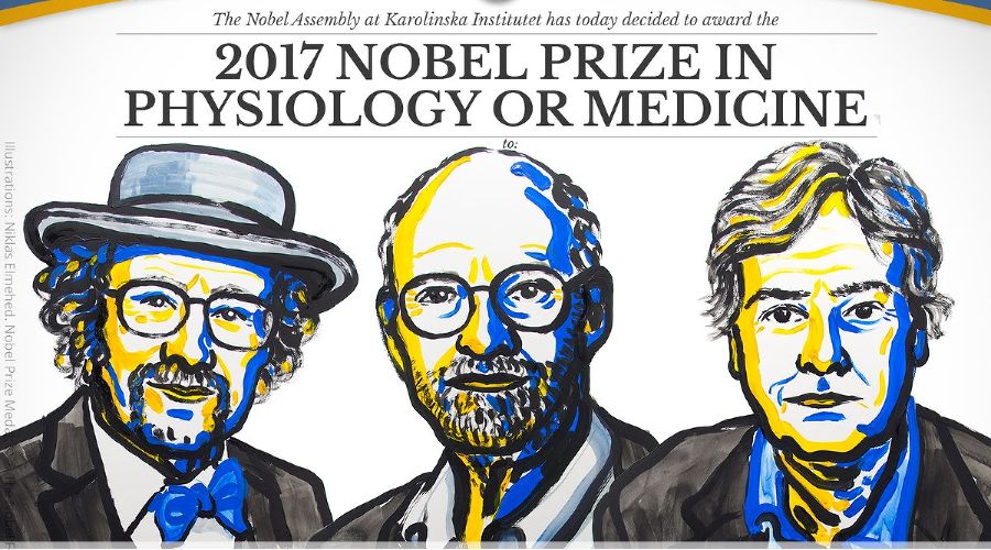  © Фото из аккаунта The Nobel Prize, twitter.com/NobelPrize