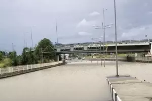  &copy;&nbsp;Кадр из видео t.me/chp_sochi