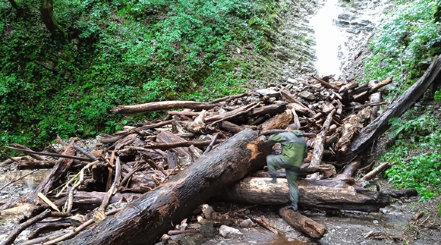  © Фото пресс-службы прокуратуры Краснодарского края