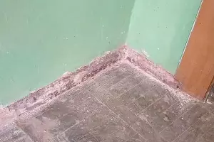  &copy;&nbsp;Фото из инстаграма &laquo;Туподар — Краснодар&raquo;, instagram.com/typodar