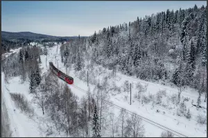  &copy;&nbsp;Скриншот из телеграм-канала &laquo;Телеграмма РЖД&raquo; https://t.me/telerzd/4239