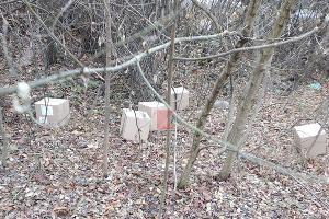  © Фото из паблика «Типичный Краснодар»