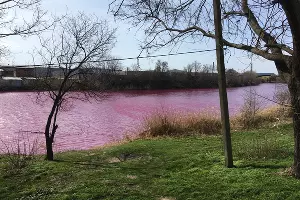  &copy;&nbsp;Фото Александра Гончаренко, Юга.ру