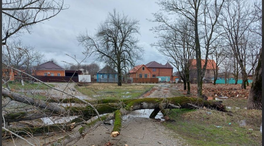  © Скриншот из телеграм-канала главы республики Адыгея Мурата Кумпилова https://t.me/muratkumpilov/8563