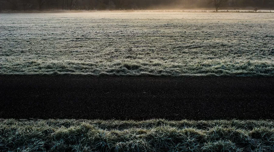 Заморозки &copy;&nbsp;Фото с сайта unsplash.com