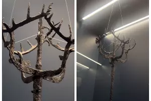  &copy;&nbsp;Скриншот из телеграм-канала краснодарского музея имени Фелицына