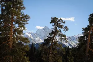  &copy;&nbsp;Фото Елены Синеок, Юга.ру