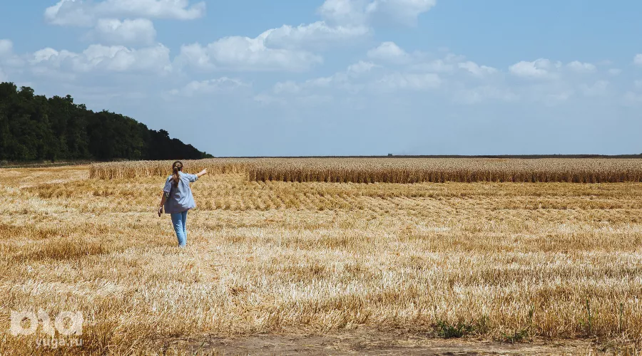  &copy;&nbsp;Фото Амины Ибрагимовой, Юга.ру