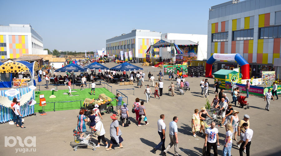  © Фото Елены Синеок, Юга.ру