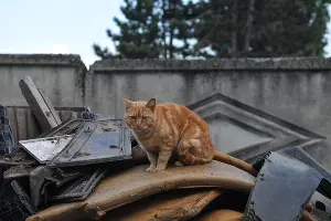 По дороге к плавням &copy;&nbsp;Фото Марины Солошко, Юга.ру