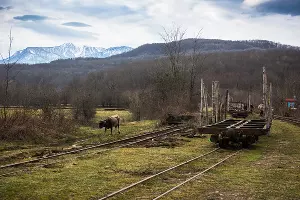Апшеронская узкоколейная железная дорога &copy;&nbsp;Фото Елены Синеок, Юга.ру