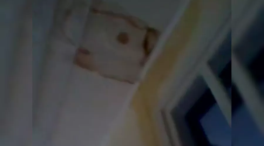  &copy;&nbsp;Скриншот из видео со страницы twitter.com/JuliaAlyans