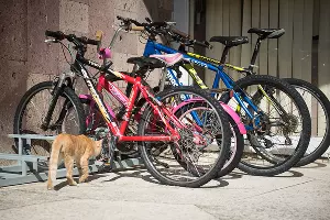  &copy;&nbsp;Фото Елены Синеок, Юга.ру