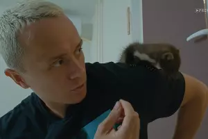  &copy;&nbsp;Скриншот из шоу &laquo;Соболев_тут&raquo;, premier.one