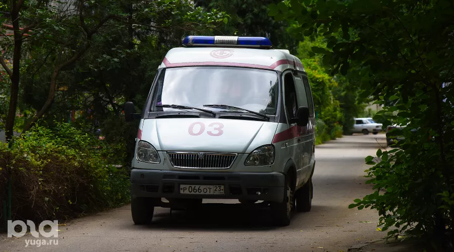  &copy;&nbsp;Фото Елены Синеок, Юга.ру