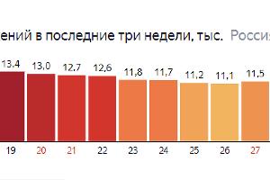  &copy;&nbsp;Изображение с сайта yandex.ru/covid19/stat