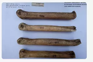  &copy;&nbsp;Скриншот сайта tass.ru