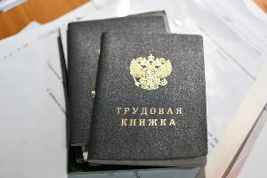 Трудовая книжка © Фото Елены Синеок, Юга.ру
