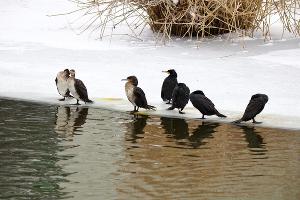  &copy;&nbsp;Фото Николая Марченко, предоставлено Юга.ру