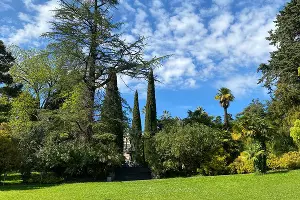 Дендрарий в Сочи &copy;&nbsp;Фото Влады Мандрыка, Юга.ру