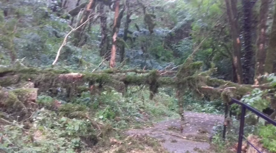  &copy;&nbsp;Фото пресс-службы Кавказского биосферного заповедника