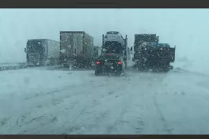  &copy;&nbsp;Скриншот из телеграмм-канала &laquo;Госавтоинспекция Ростовской области&raquo; https://t.me/ugibddro/1038