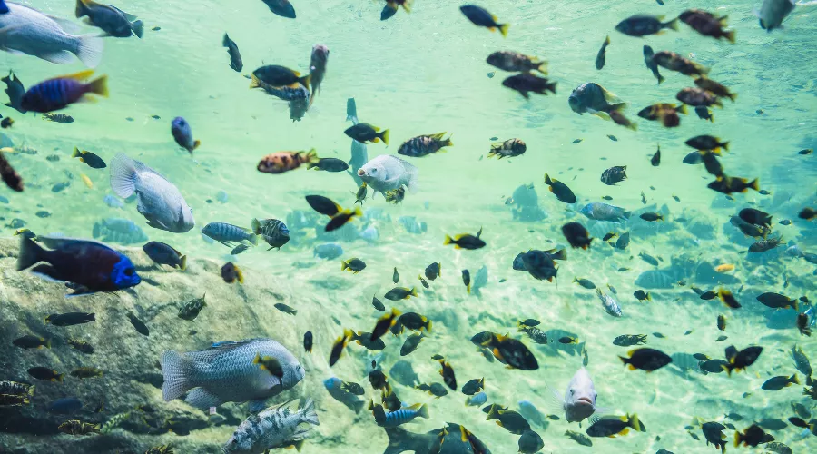  &copy;&nbsp;Фото пользователя freepik с сайта freepik.com