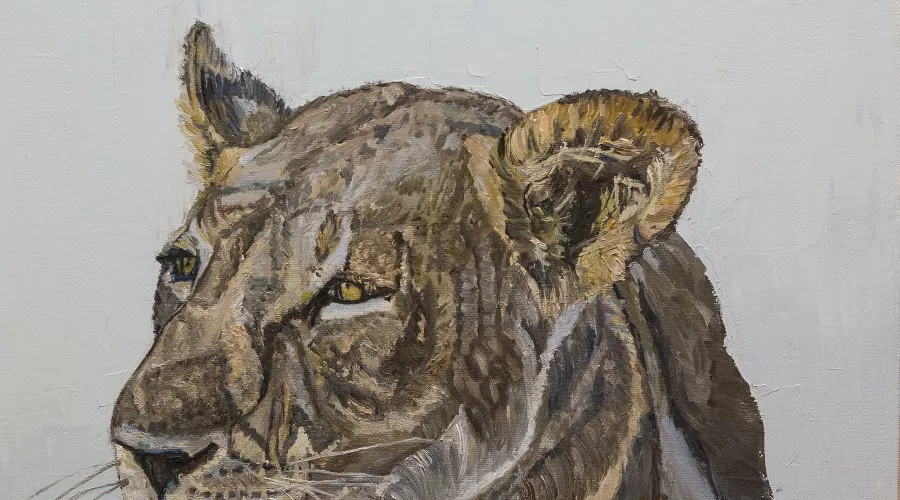  &copy;&nbsp;Фотография предоставлена пресс-службой Краснодарского краевого выставочного зала