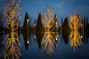 Парк «Краснодар» &copy;&nbsp;Фото Елены Синеок, Юга.ру