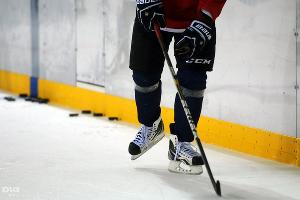 Первая открытая тренировка хоккейной "Кубани" &copy;&nbsp;Елена Синеок. ЮГА.ру