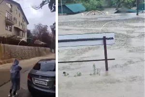  &copy;&nbsp;Коллаж из скриншотов фото из телеграм-канала &laquo;Любимый Сочи&raquo;