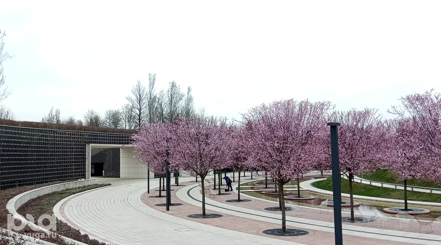 Весна в парке «Краснодар» &copy;&nbsp;фото Андрея Малёваного