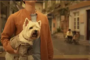 Кадр из трейлера к фильму «Любовь и пёсики» &copy;&nbsp;Скриншот видео с YouTube-канала &laquo;Трейлеркин&raquo;