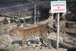  &copy;&nbsp;Елена Синеок, ЮГА.ру