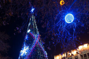 Новогодняя елка перед зданием Администрации Краснодарского края © Елена Синеок, ЮГА.ру