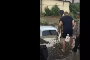  &copy;&nbsp;Скриншот видео из телеграм-канала &laquo;Любимый Сочи&raquo;, t.me/love_sochi/7775