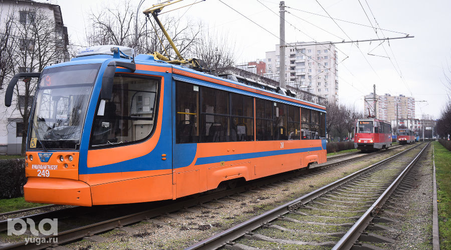  © Фото Елены Синеок, Юга.ру