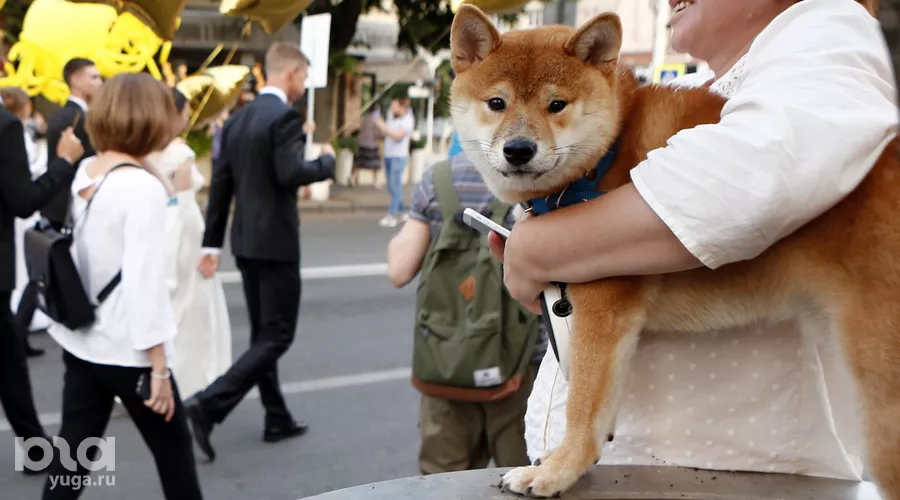  &copy;&nbsp;Фото Елены Синеок, Юга.ру