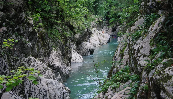 Каньон «Чертовы ворота» в Тисо-самшитовой роще Сочи &copy;&nbsp;Фото Марины Солошко, Юга.ру