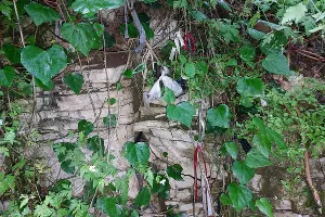  &copy;&nbsp;Фото Олега Колокола