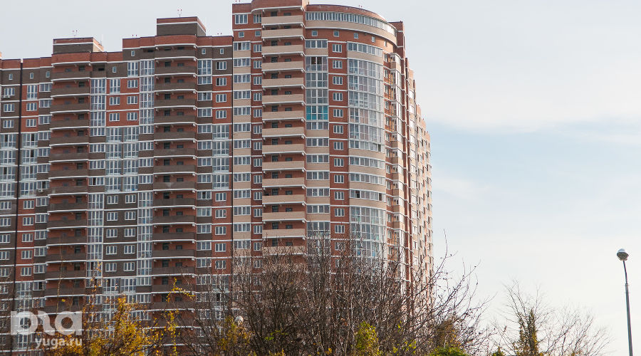  © Фото Елены Синеок, Юга.ру