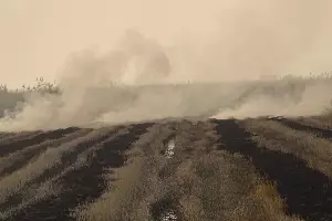 Северский район, 17 октября 2021 года &copy;&nbsp;Фото Дмитрия Шевченко