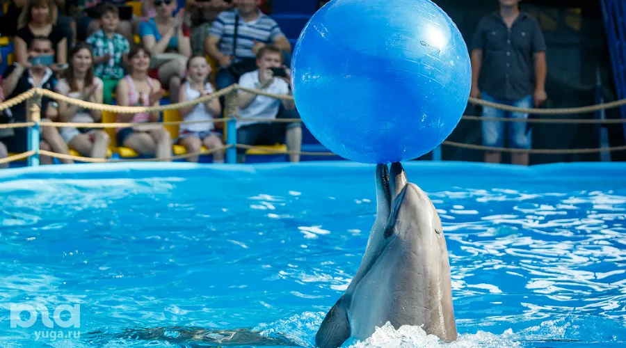  &copy;&nbsp;Николай Ильин, ЮГА.ру