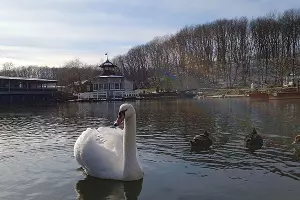 &laquo;Кремниевы Термы&raquo; &copy;&nbsp;Фото Антона Быкова, Юга.ру