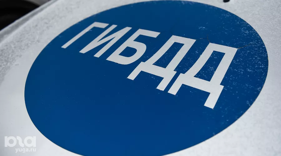  &copy;&nbsp;Фото Елены Синеок, Юга.ру