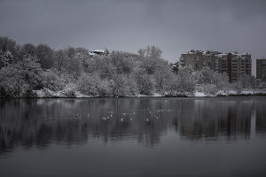 Снег в Краснодаре © Фото Елены Синеок, Юга.ру