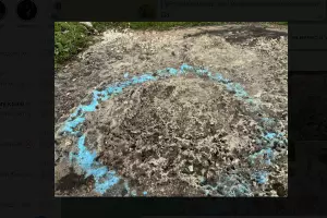  &copy;&nbsp;Скриншот фото из телеграм-канала Евгения Моисеева