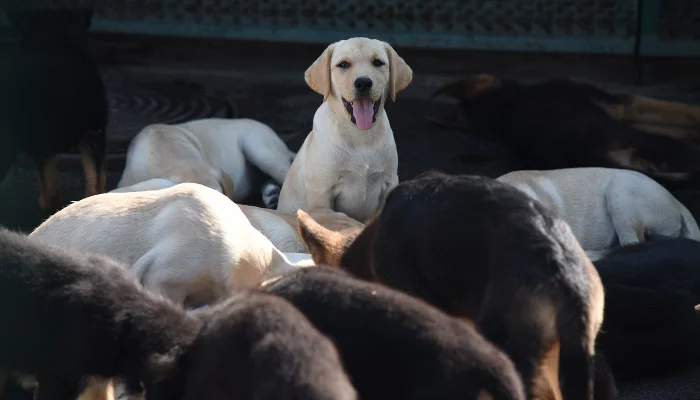  &copy;&nbsp;Фото Елены Синеок, Юга.ру