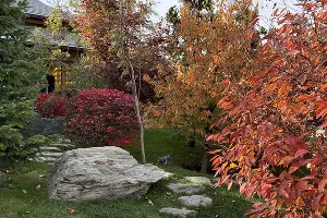 Японский сад в парке &laquo;Краснодар&raquo; осенью &copy;&nbsp;Фото Марины Солошко, Юга.ру