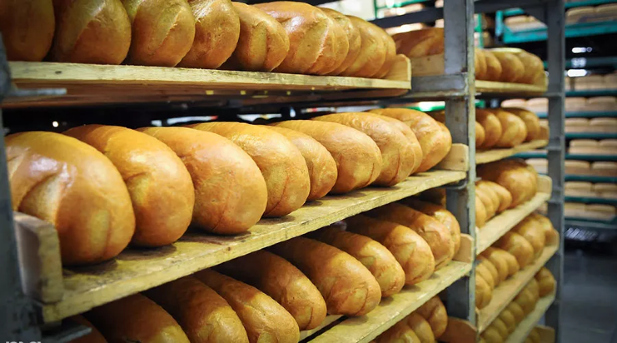  &copy;&nbsp;Елена Синеок, ЮГА.ру